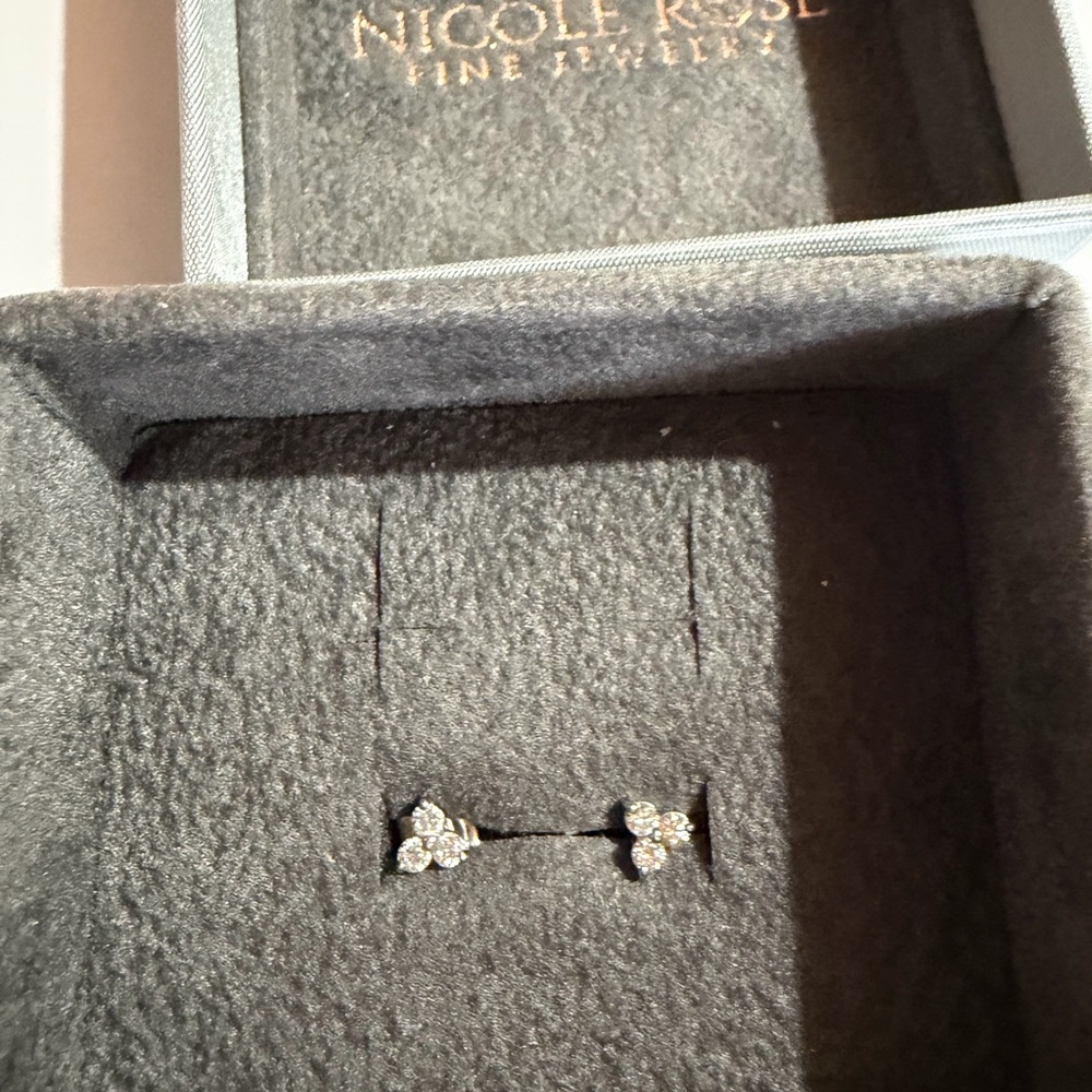 Nicole Rose Silver Crystal Earrings - Picture 2 of 4